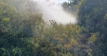 Balıkesir'de 5 farklı alanda zirai yangın söndürüldü