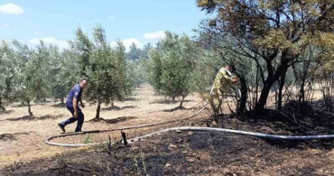 Balıkesir’de balya makinesindeki yangın tarlaya sıçradı