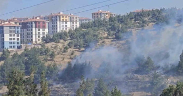 Balıkesir'de çam ağaçlarıyla dolu koruluk alanda yangın çıktı