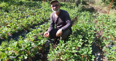 Balıkesir'de Emekli Muhasebeciden Üretkenlik Örneği