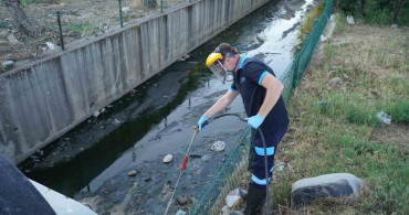 Balıkesir'de Vektörle Mücadele Uzun Süreli Devam Ediyor