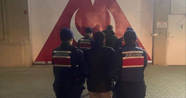 Balıkesir'de Zeytin Hırsızlığı: İki Tutuklama