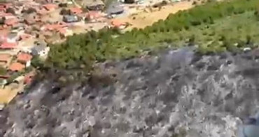 Balıkesir’deki orman yangını kontrol altına alındı