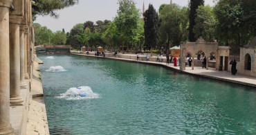 Balıklıgöl'deki çok sayıda balık ölümleri araştırılmaya başlandı
