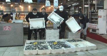 Balıkseverlere Güzel Haber! Hamsi Fiyatları Yarıya Düştü