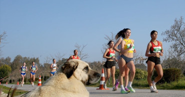Balkan Yürüyüş Şampiyonası İzmir'de Gerçekleşti