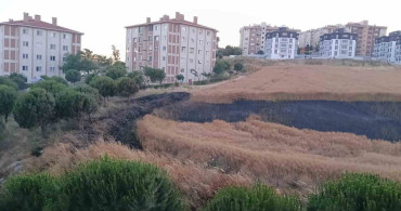 Bandırma'da buğday tarlasında yangın kontrol altına alındı