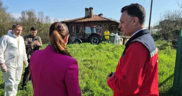 Bartın'da Kahverengi Kokarca İstilasına Karşı Kış Uykusu İlaçlaması