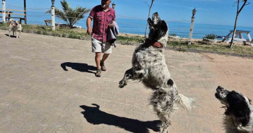 Bartın'daki dronsavar köpekler, dronları etkisiz hale getiriyor