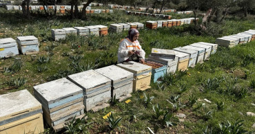 Başarılı Genç Arıcı: Latife Gül Kaplan'ın Hikayesi