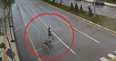 Başıboş köpek terörü! Çorumda köpekten kaçan çocuk ağır yaralanmıştı: O anlar kameralara yansıdı