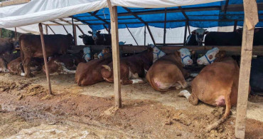 Başiskele'de Kurban Satış Alanları Denetleniyor