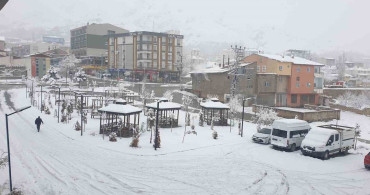 Başkale'de Kar Yağışı Hayatı Olumsuz Etkiliyor