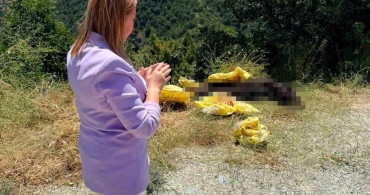 Başkan Tekin, yol kenarına bırakılan hayvan leşine sert tepki gösterdi