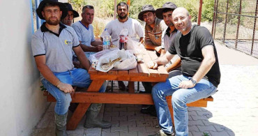 Başkan Zencirci’den Sokak Hayvanları Rehabilitasyon Merkezi’ne inceleme