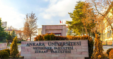 Başvuru tarihleri ve şartlar açıklandı: 1000’e yakın personel alınacak