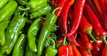 Batı Akdeniz'in İhracat Şampiyonu Biber