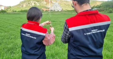 Bayburt'ta ÇKS Ürün Beyanı Kontrolleri Başladı