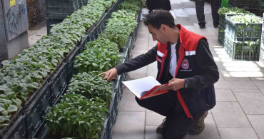 Bayburt'ta fide ve fidan satış yerleri denetlendi