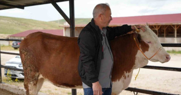 Bayburt'ta Kurban Pazarında Hareketlilik