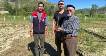 Bayburt'ta salep hasadı başladı