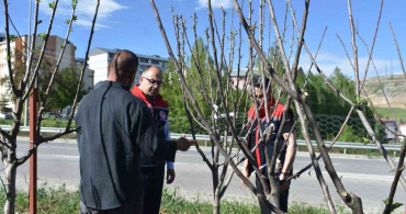 Bayburt'ta Süs ve Tıbbi Bitki Üretimi İncelendi