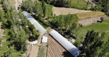 Bayburt'ta yüzde 70 hibeli sera projesi için başvurular yarın başlıyor