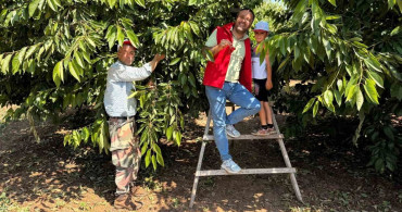 Bayındır gençleri kiraz hasadına katıldı, üreticilere destek verdi