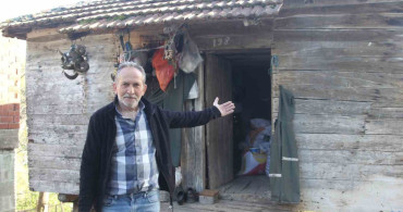 Baykuş ile Çiftçinin 20 Yıllık Dostluğu: Her Yıl Aynı Yuvaya Dönüş