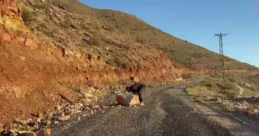 Beden Eğitimi Öğretmeni Yalçın Yıldız'dan Örnek Davranış