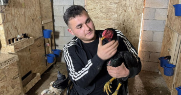 Bedensel Engelli Genç Osman Altun'un Hayvancılık Serüveni