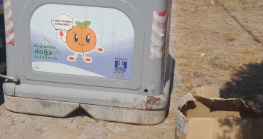 Belediye ekibinin dikkati yavru kedileri hayata bağladı