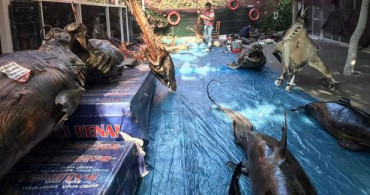 Beylikdüzü'ndeki Yaşam Vadisi'nde Türkiye'nin Tek Balıkçılık Müzesi