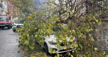 Beyoğlu'nda Park Halindeki Aracın Üzerine Ağaç Devrildi
