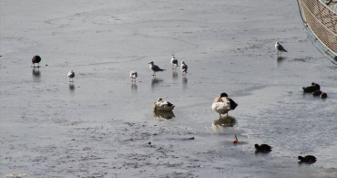 Beyşehir Gölü'nde Buzlanma Olayı