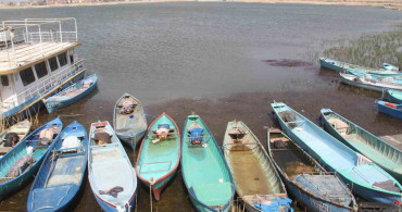 Beyşehir Gölü’ndeki Balıklar Kurtarıldı