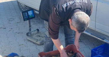 Beyşehir'de su ürünleri denetimleri sıklaşıyor