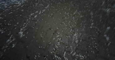 Beytüşşebap’ta Dolu Yağışı Beyaz Bir Manzara Oluşturdu