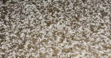 Beytüşşebap'ta Dolu Yağışı Sonrası Beyaz Manzaralar