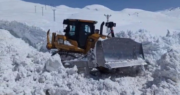 Beytüşşebap'ta Kar ve Bahar Aynı Anda Yaşanıyor