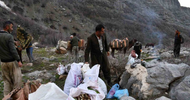 Beytüşşebap'ta Pancar Toplama Geleneği