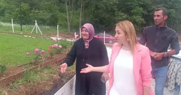 Bilecik’in ilk gül bahçesinde 40 renkte gül yetişiyor