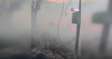 Bilecik'te bir ahır çıkan yangında kül oldu