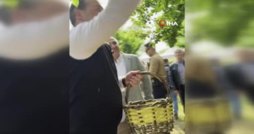 Bilecik'te Can Eriği Hasadı Coşkusu