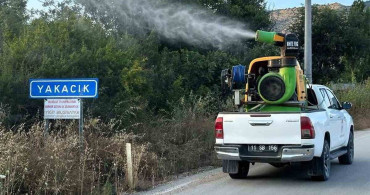 Bilecik’te haşerelere karşı ilaçlama çalışması yapıldı