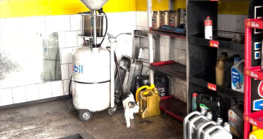 Bilecik’te Otomobilin Motoruna Sıkışan Kedi Kurtarıldı