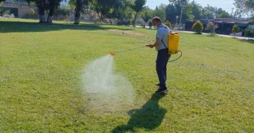 Bilecik'te Sakarya Nehri kenarında haşereyle mücadele