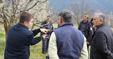 Bilecik'te Üreticilere Gübreleme ve Budama Eğitimi