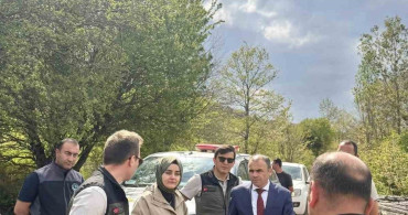 Bilecik'te Yangın Sonrası Ağaçlandırma Çalışmaları İncelendi