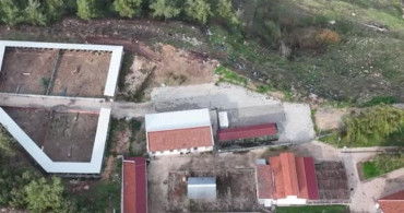 Bilecik'te yaralı halde bulunan çakal tedavi edildi